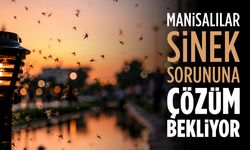 Manisalılar Sinek Sorununa Çözüm Bekliyor