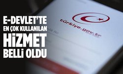 E-Devlet'te Zirve SGK'nın! 6 Ayda 758 Milyon Erişim