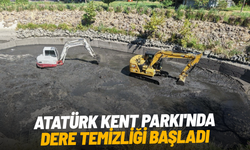 Atatürk Kent Parkı'nda dere temizliği başladı
