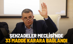 Şehzadeler Meclisi'nde 33 madde karara bağlandı