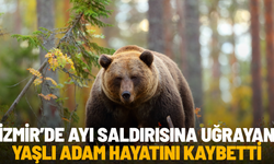 İzmir’de ayı saldırısına uğrayan yaşlı adam hayatını kaybetti