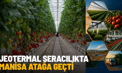 Jeotermal seracılıkta Manisa atağa geçti