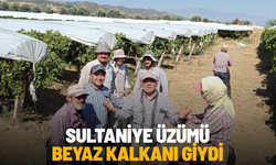 Dünyaca ünlü Sultaniye üzümüne beyaz kalkan