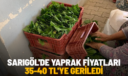 Sarıgöl'de yaprak fiyatları 35-40 TL'ye geriledi