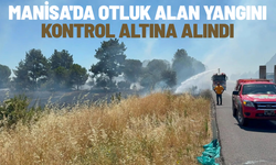 Manisa'da otluk alan yangını kontrol altına alındı