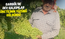 Sarıgöl'de dev salkımlar ihracat yolunda