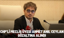 CHP’li Meclis Üyesi Ahmet Anıl Ceylan Gözaltına Alındı