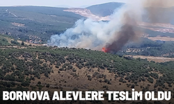 Bornova'daki orman yangınına havadan ve karadan müdahale
