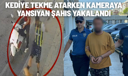 Kediye tekme atarken kameraya yansıyan şahıs yakalandı