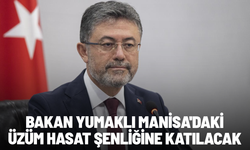 Bakan Yumaklı Manisa'daki üzüm hasat şenliğine katılacak