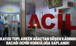 Kayısı toplarken ağaçtan düşen kadının bacağı demir korkuluğa saplandı!