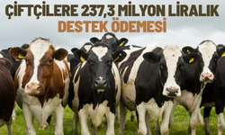 Çiftçilere 237,3 milyon liralık destek ödemesi