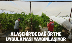 Alaşehir'de bağ örtme uygulaması yaygınlaşıyor