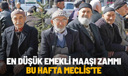 En düşük emekli maaşı zammı bu hafta Meclis'te