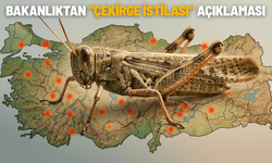 Bakanlıktan "çekirge istilası" açıklaması
