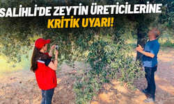 Salihli'de zeytin üreticilerine kritik uyarı