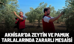 Akhisar’da zeytin ve pamuk tarlalarında zararlı mesaisi