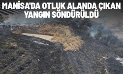 Manisa'da otluk alanda çıkan yangın söndürüldü