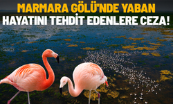 Marmara Gölü'nde Yaban Hayatını Tehdit Edenlere Ceza!