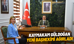 Kaymakam Güldoğan, yeni başhekimi ağırladı