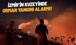 İzmir’in kuzeyinde orman yangını alarmı