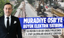 Muradiye OSB'de 150 Milyon TL'lik Dev Enerji Projesinde 3. Etap Çalışmaları Aralıksız Sürüyor