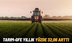 Tarım-GFE yıllık yüzde 32,06 arttı