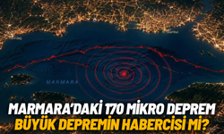 Marmara’da 170 mikrodeprem: Büyük deprem habercisi mi?