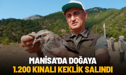 Manisa'da doğaya bin 200 kınalı keklik salındı