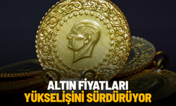 Altın fiyatları yükselişini sürdürüyor
