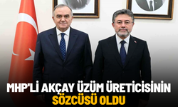 MHP'li Akçay üzüm üreticisinin sözcüsü oldu