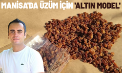 Manisa'da üzüm için 'Altın Model'