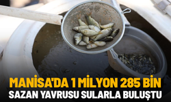 Manisa'da 1 milyon 285 bin sazan yavrusu sularla buluştu