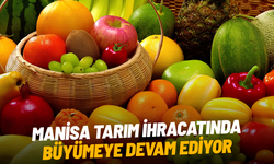 Manisa’nın tarımsal ihracatı 7 ayda 573,6 milyon dolara ulaştı