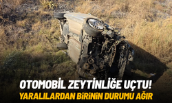 Otomobil zeytinliğe uçtu: 1'i ağır 2 yaralı