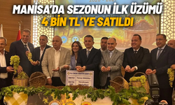 Manisa’da sezonun ilk üzümü 4 bin TL’ye satıldı