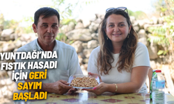 Yuntdağı'nda fıstık hasadı için geri sayım başladı