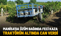Manisa'da üzüm bağında feci kaza