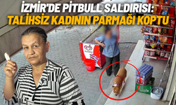 İzmir'de pitbull saldırısı: Talihsiz kadının parmağı koptu