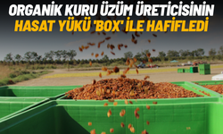 Organik kuru üzüm üreticisinin hasat yükü 'Box' ile hafifledi