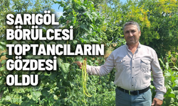 Börülce üreticisinin yüzü gülüyor