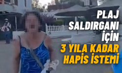 Plaj saldırganı için 3 yıla kadar hapis istemi