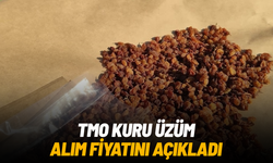 SON DAKİKA... TMO kuru üzüm alım fiyatını açıkladı