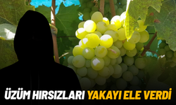 2 ton üzüm hırsızlığının şüphelileri yakalandı