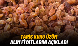 TARİŞ kuru üzüm alım fiyatlarını açıkladı