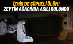 İzmir'de şüpheli ölüm! Zeytin ağacında asılı bulundu