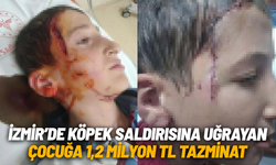 İzmir’de köpek saldırısına uğrayan çocuğa 1,2 milyon TL tazminat