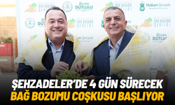 Şehzadeler’de 4 gün sürecek bağ bozumu coşkusu başlıyor