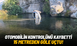 Otomobilin kontrolünü kaybetti, 15 metreden göle uçtu!