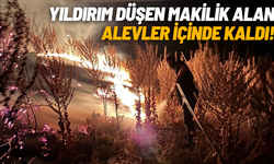 Yıldırım düşen makilik alan alevler içinde kaldı